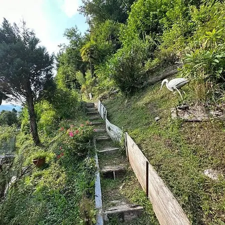 Будинок відпочинку Casa Lilia